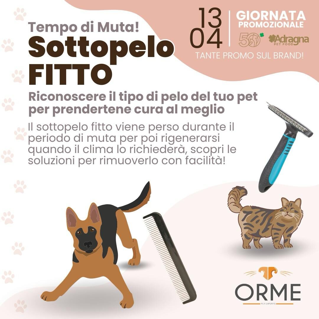 Le soluzioni migliori per il sottopelo Fitto - Giornata promozionale Adragna Pet Food — Orme Palermo