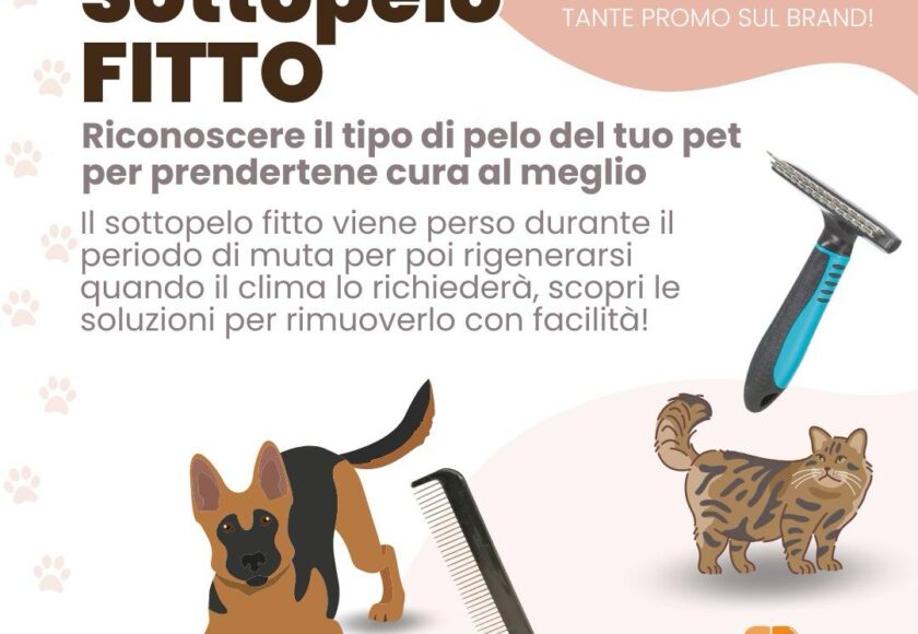 Le soluzioni migliori per il sottopelo Fitto - Giornata promozionale Adragna Pet Food — Orme Palermo
