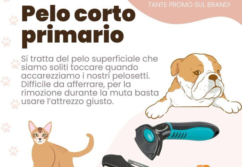 Pelo corto primario - Giornata promozionale ProPlan Purina — Orme Palermo