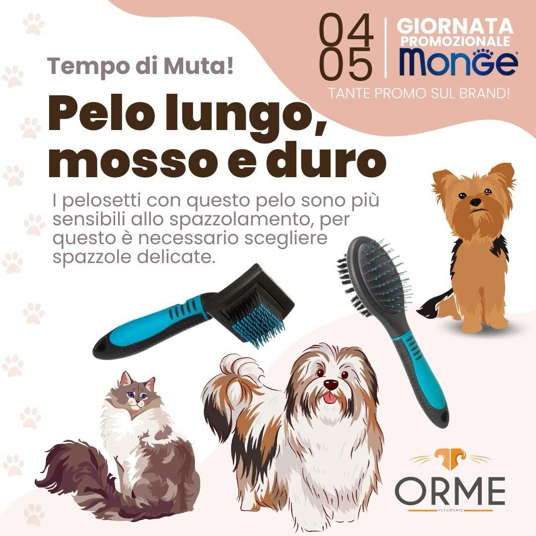 Pelo lungo, mosso e duro - Giornata promozionale Monge — Orme Palermo