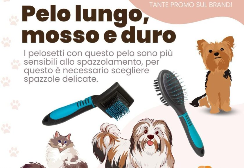 Pelo lungo, mosso e duro - Giornata promozionale Monge — Orme Palermo