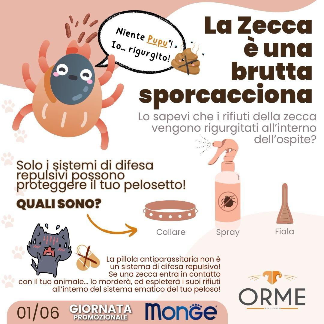 La zecca un brutta sporcacciona - Orme Palermo