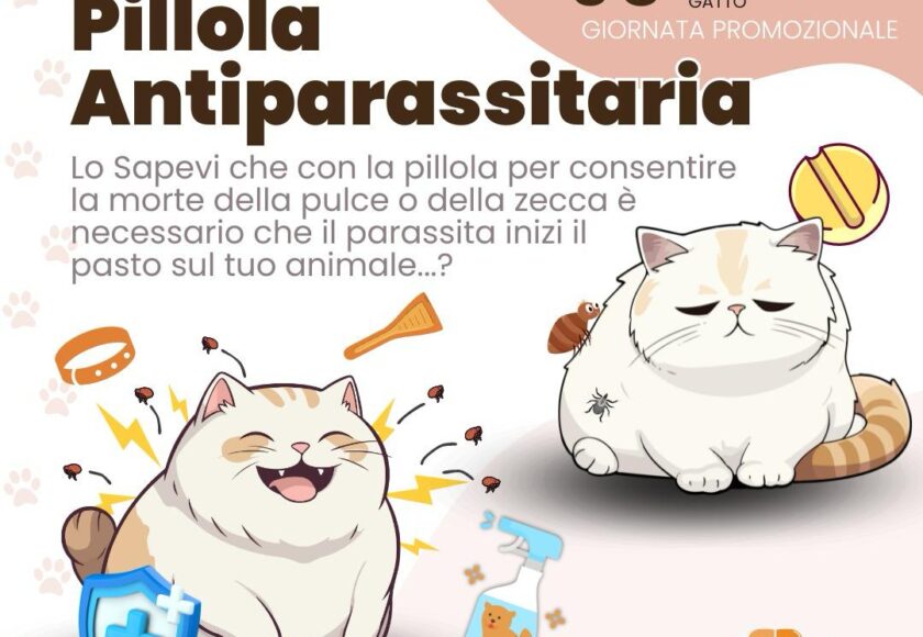 Pillola antiparassitaria - Orme palermo