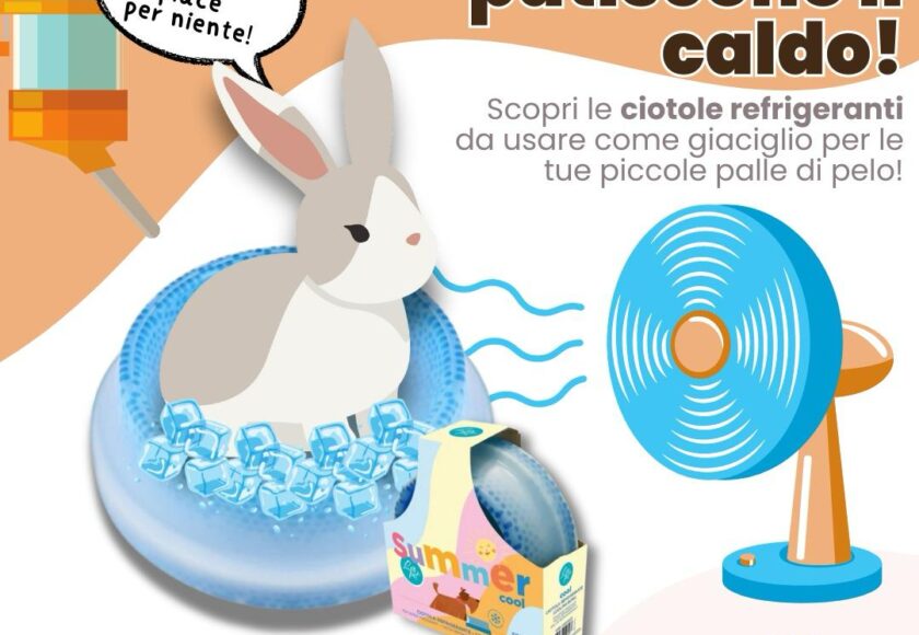 Anche i conigli soffrono il caldo - Orme Palermo