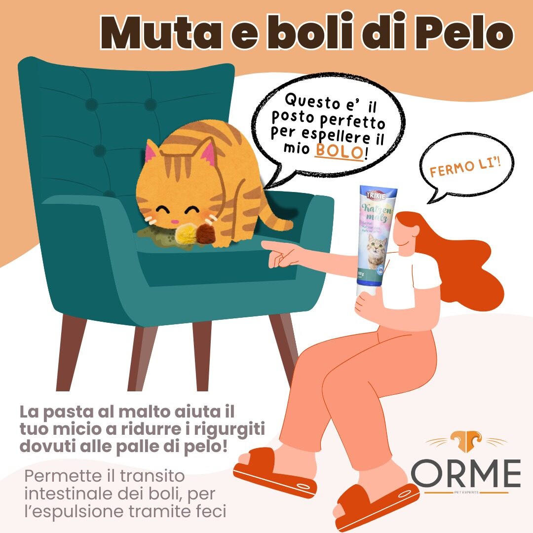 Muta e boli di Pelo nei gatti - Orme Palermo