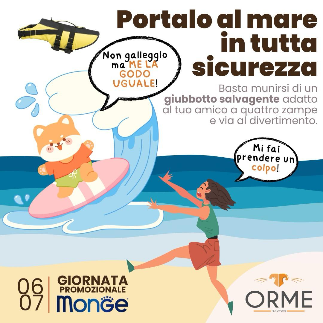 Sicurezza al Mare per i nostri Cani - Orme Palermo
