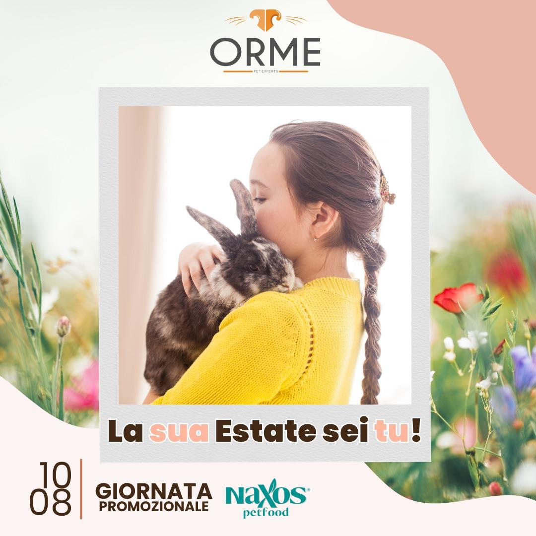Una Estate con il Tuo Coniglio - Orme