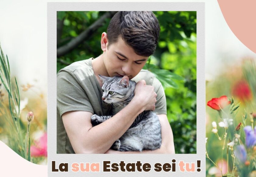 Una Estate con il Tuo Gatto - Orme