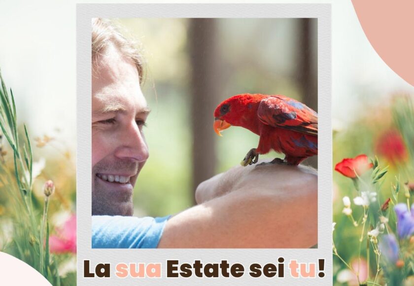 Una Estate con il Tuo Pappagallo - Orme