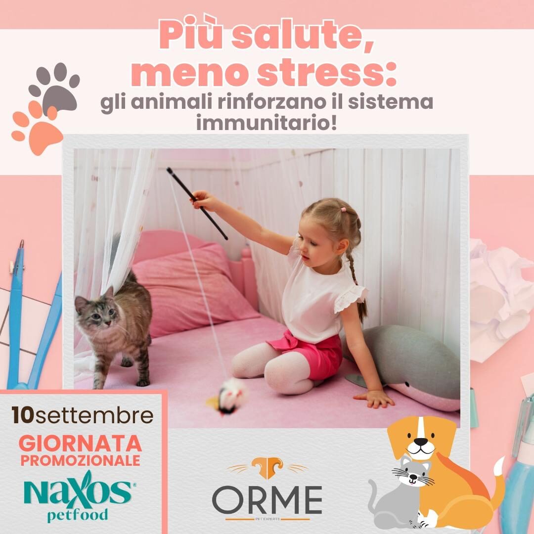 Pet Therapy per gli Universitari