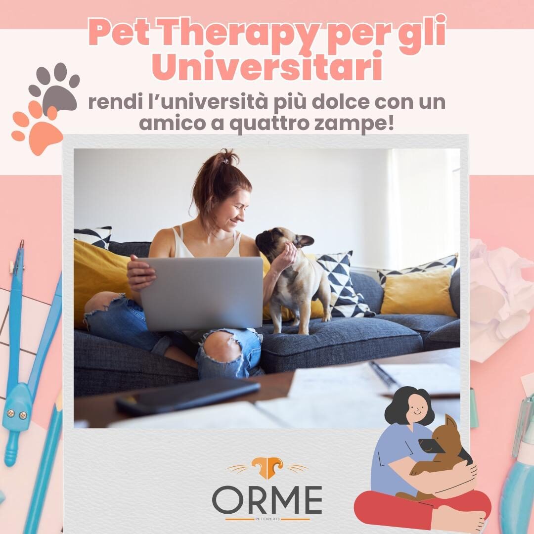 Pet Therapy per gli Universitari