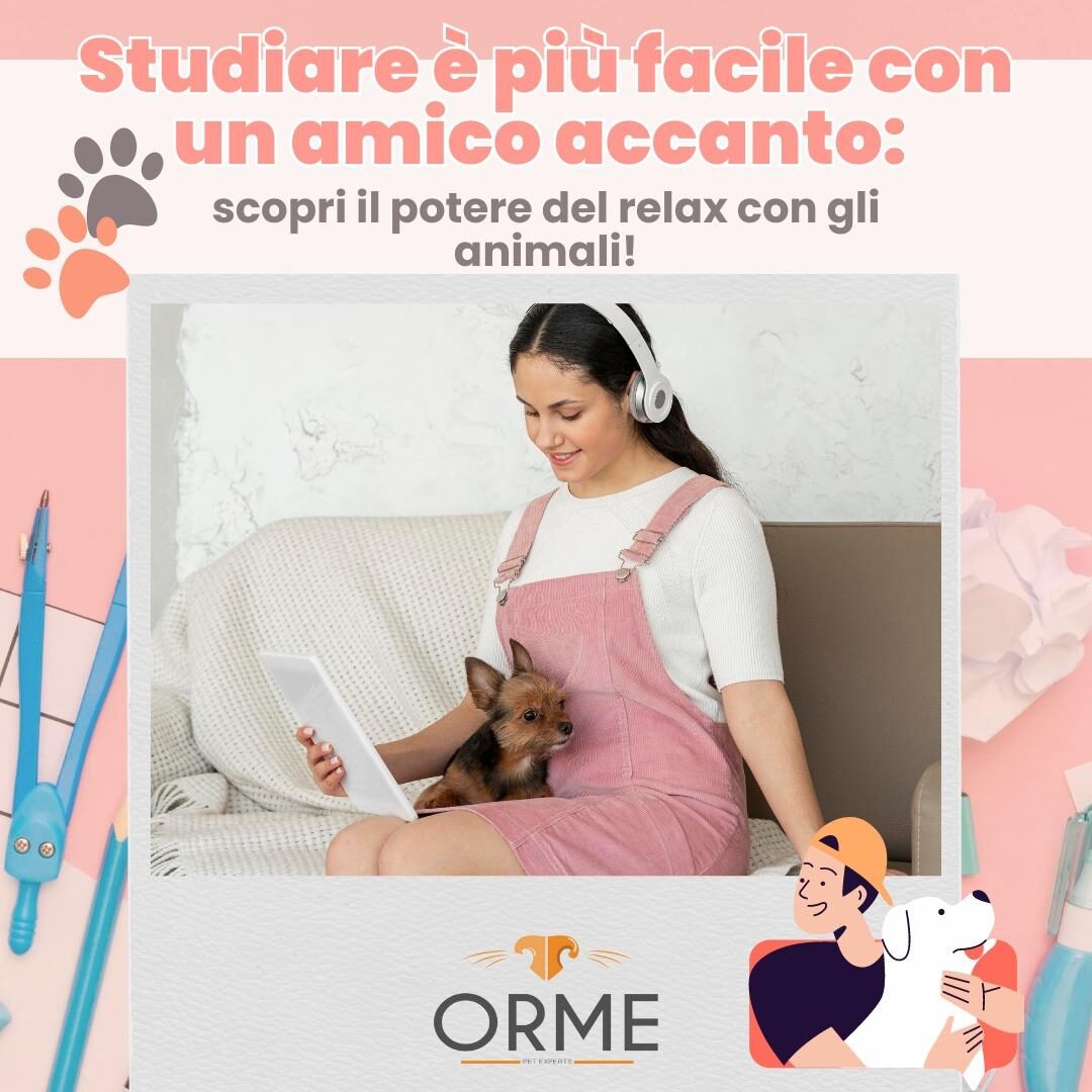 studiare più facile con un amico accanto