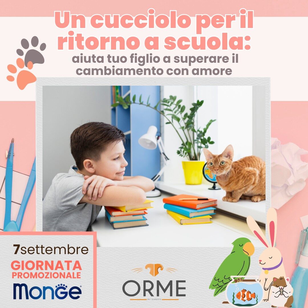 un cucciolo per il ritorno a scuola
