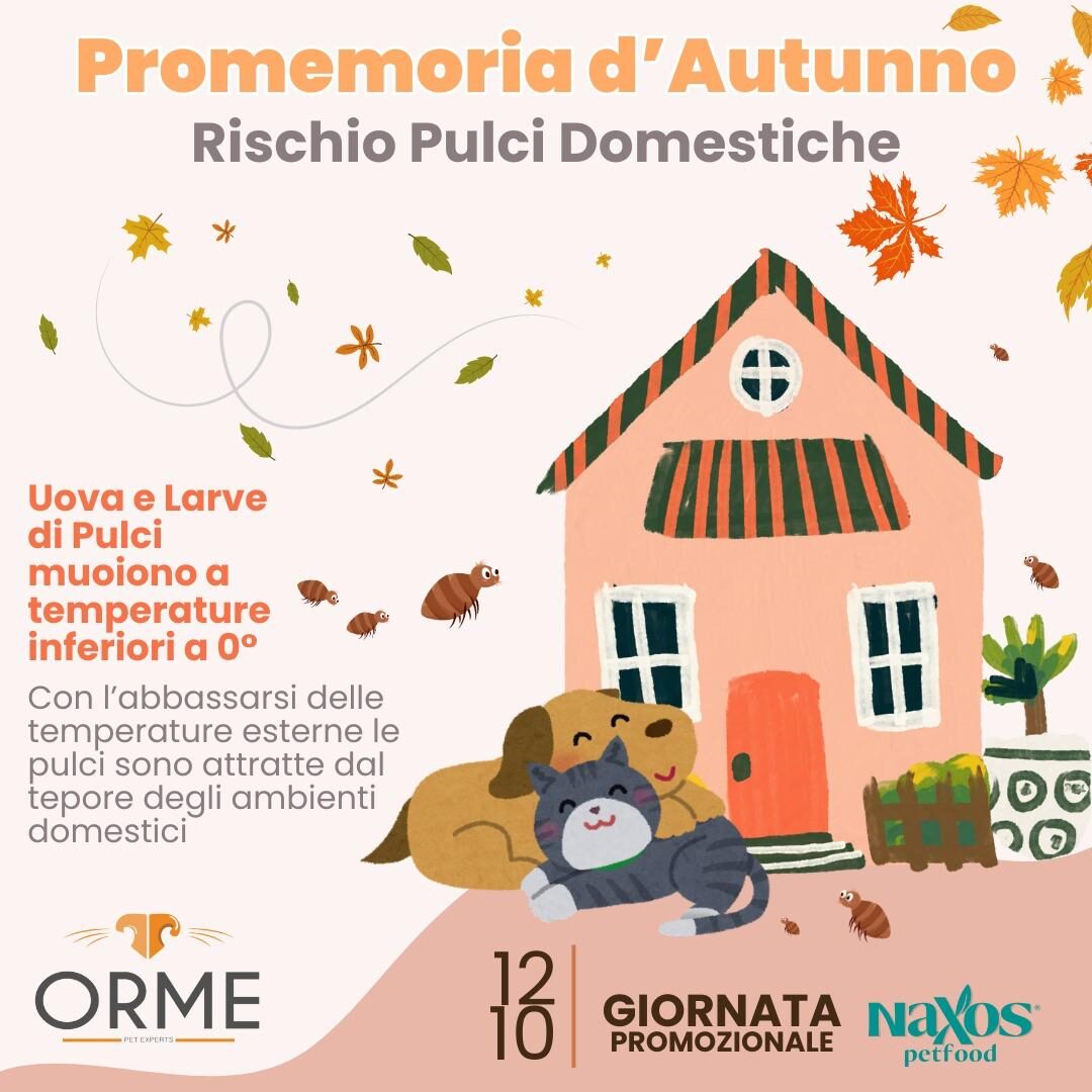 Promemoria di Autunno, Attenzione alle pulci - Orme Palermo