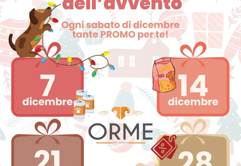 Calendario-avvento_ORME-palermo