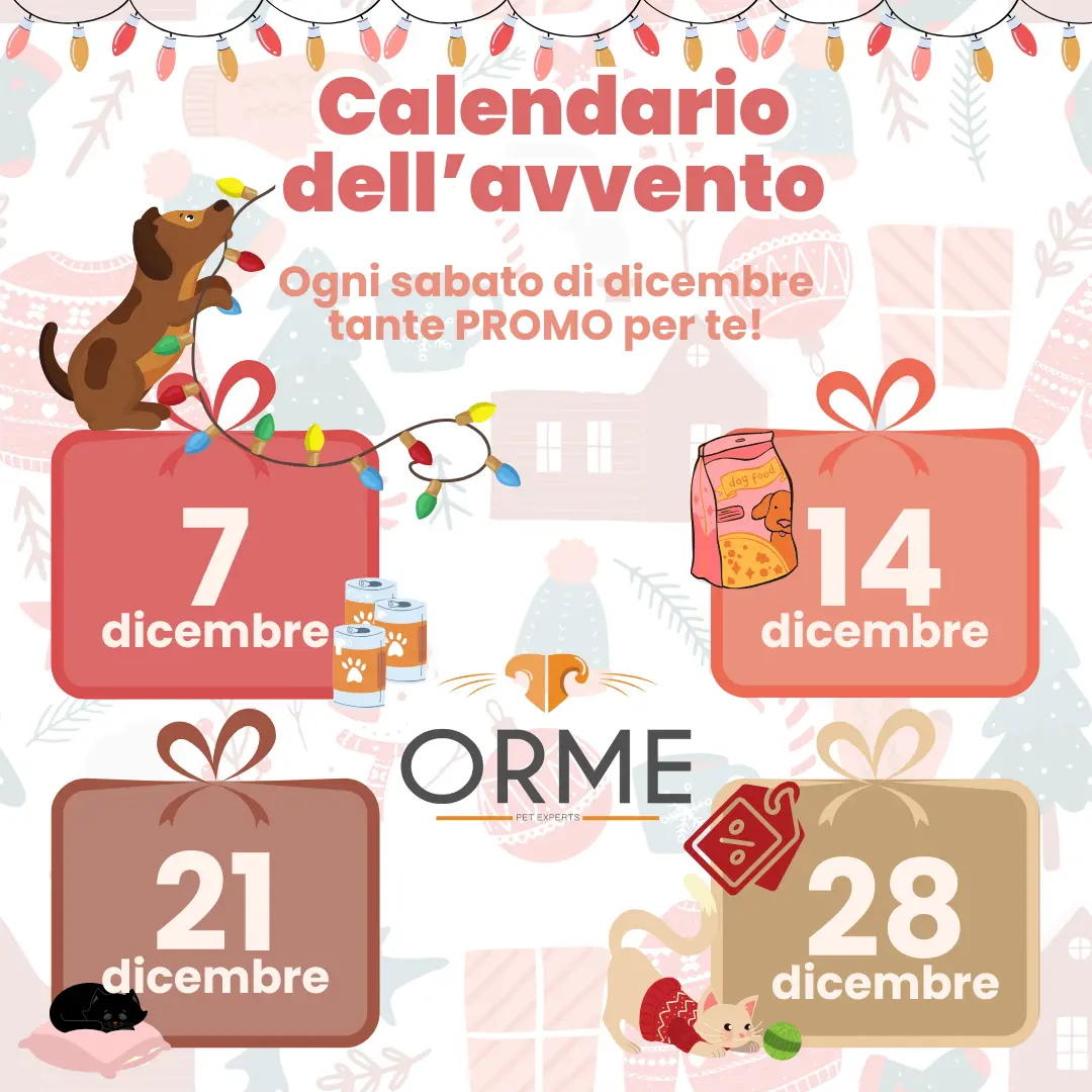 Calendario-avvento_ORME-palermo