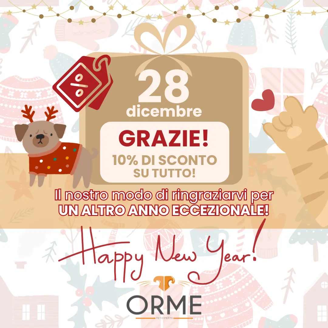Calendario-avvento_fine anno_ORME-palermo