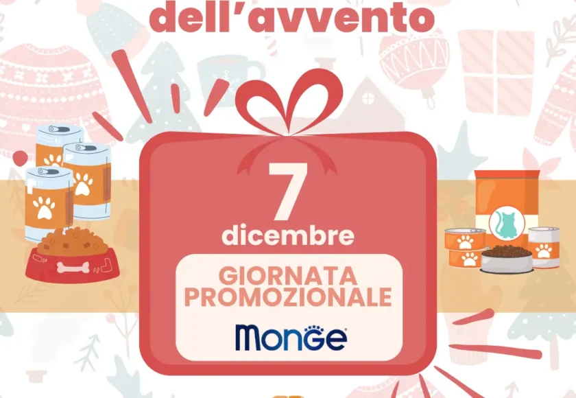 Calendario-avvento_monge_ORME-palermo