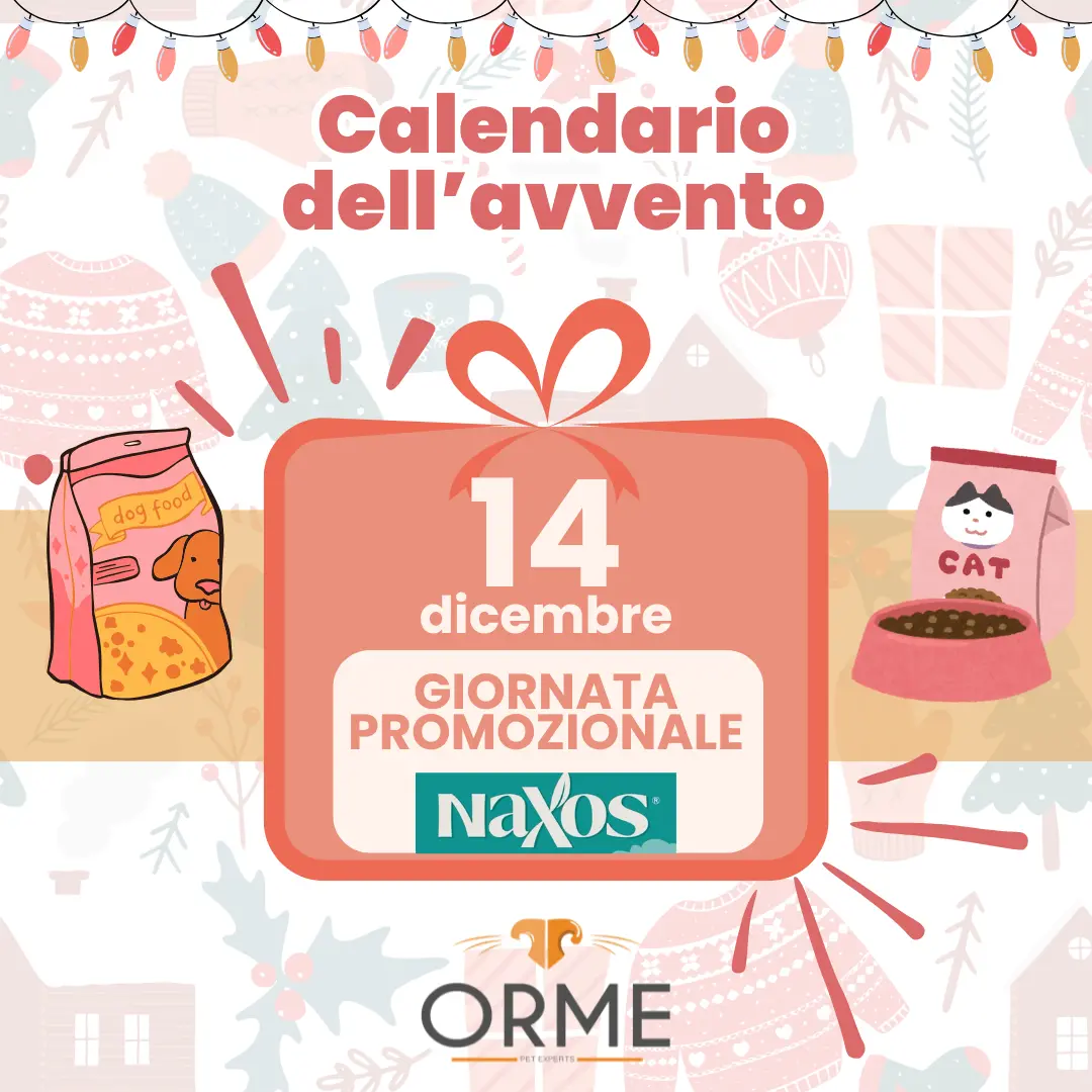 Calendario-avvento_naxos_ORME-palermo