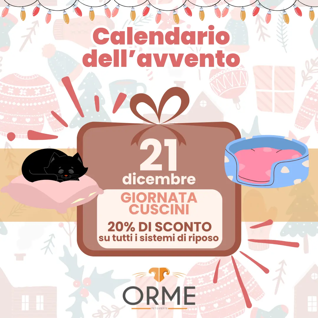 Calendario-avvento_sistemi-riposo_ORME-palermo