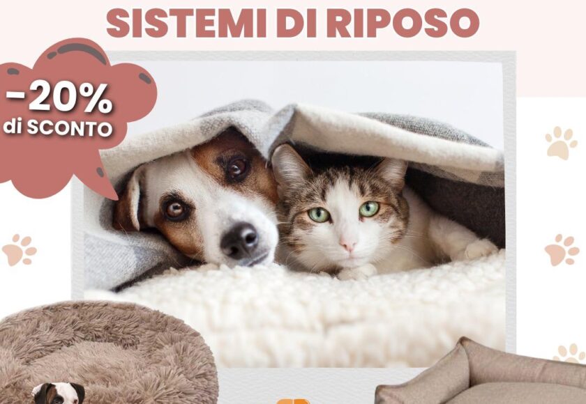 Giornata Promozionale Cuscineria