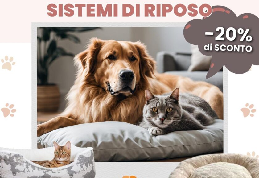 Giornata Promozionale Cuscineria