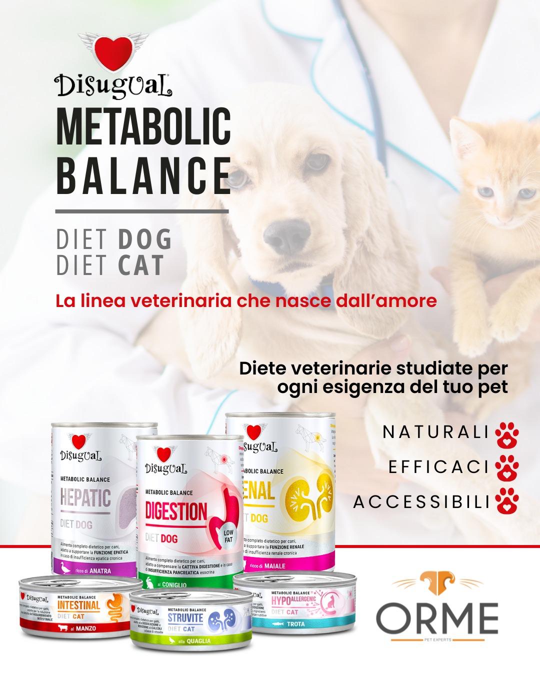 LINEA VET DISUGUAL - Orme Palermo