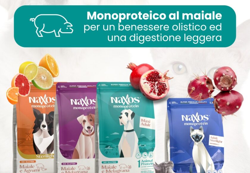 Linea al Maiale Naxos – Promo Day
