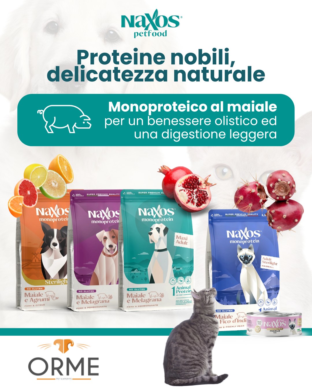 Linea al Maiale Naxos – Promo Day