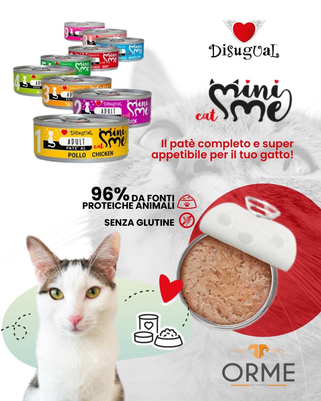 Disugual gatto idratazione e gusto. Orme palermo