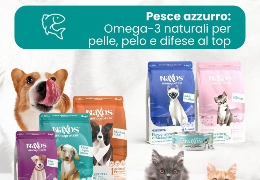 Naxos Pesce Azzurro + Promo Day Naxos. Orme palermo