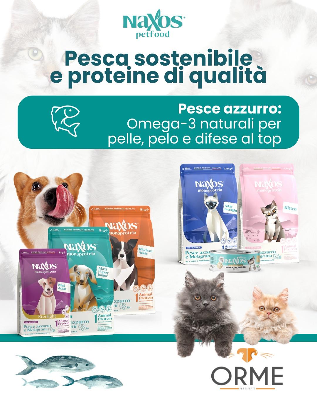 Naxos Pesce Azzurro + Promo Day Naxos. Orme palermo